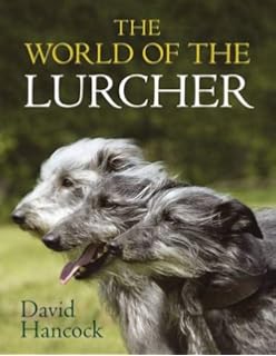 hancock lurchers for sale