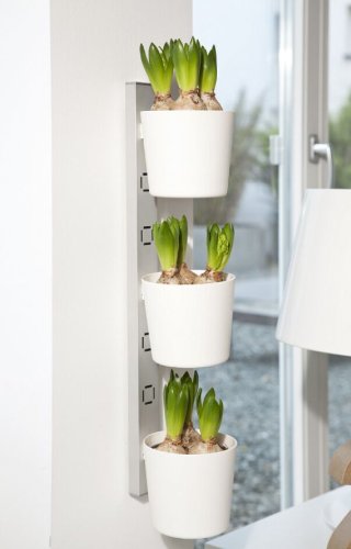 Kräuter- und Pflanzenleiter ‚Vega‘, 72,5 bis 111,5 cm, weiß - 2