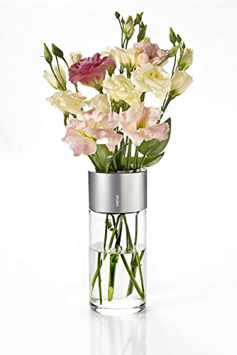 Carus 1014107 Fio Vase Prime, silber - 5