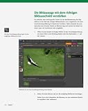 Image de Photoshop Elements 7 - Der Meisterkurs - für Fortgeschrittene: Für alle, die mehr können wollen (M+T Meisterkurs)