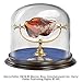 Price comparison product image Sorcerers Stone Display. Harry Potter Noble Collection