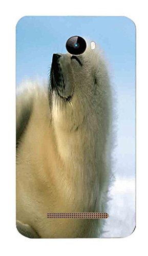 Fadsho Designer Case for Panasonic Eluga I9/Back Cover for Panasonic Eluga I9/Panasonic Eluga I9 Back/Printed Back Cover for Panasonic Eluga I9