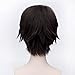 30cm Straight Party Hair Wig Anime Attack On Titan Eren Jaeger Dark brown Short Cosplay Wig