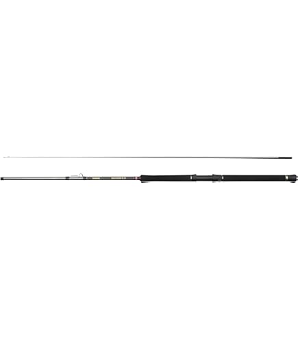 Caña De Pescar Mar Penn Regiment IV Boat Travel Rod, Saltwater Angler Fishing Sea Fish Cod, Eel, Bass, Pollock, Mackerel, Shark, Strong Lightweight & Versatile, Silver, 2.10 M Fast Ambidextrous Rod Cañas