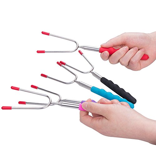 5 Stück Teleskop Grillspieße Edelstahl Set Handgriff Grillfest Ausziehbar XingYu-XY BBQ-Spieße Gabeln BBQ Hot Dog Gabel Metall-Sticks für Picknick Camping Campfire Feuerstelle Camping (24.5*6*1.5cm, Farbe)