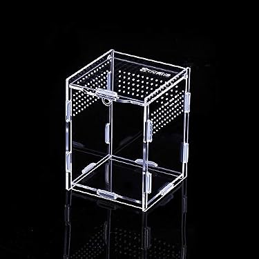 Transportbox Für Reptilien & Amphibien – Transparent, 19x12,5x7,5 Cm, Aus PP-Kunststoff