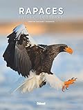 Rapaces, entre ciel et terre by 