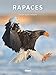 Rapaces, entre ciel et terre by 