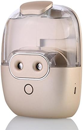 AOKARLIA Mini Facial Humidifier Sprayer Nano Water Meter Ironic Steamer Double Head Home Spa Hot Mist 10Min Opening Pores , Gold