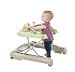 Babymoov 2-in-1 Walker