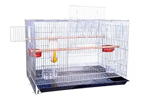 AVI CRAVE zinc Bird cage for Birds,Parrot,Finches,Love Birds, with 2 Perch Stick,Cuttlefish Bone Holder,with Cuttlefish Bone,2 gate to Install breeding Box,Anti Bird Escape Lock