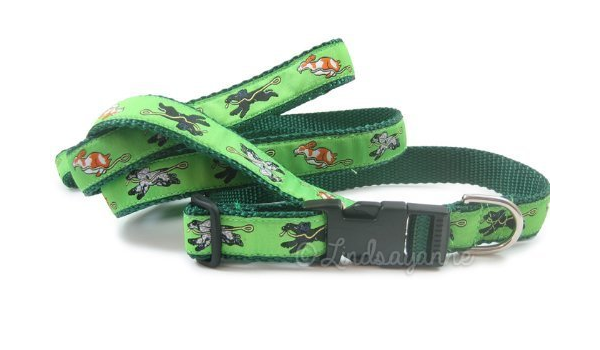 best collar for cocker spaniel