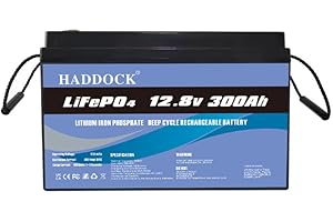 GENERIC 12V 300Ah LiFePO4 Battery, 5000+ Deep Cycle,Rechargeable Lithium Ion Phosphate Leisure Battery with BMS,for Trolling Motor, Kids Scooters, Power Wheels, Fish finder,Outdoor Camping