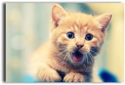 20" x 30" Meow Yellow Cat Lovely Design Stick Poster