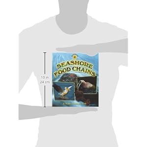 Seashore Food Chains