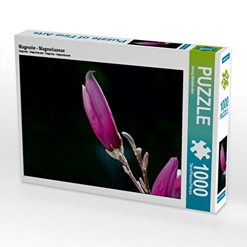Preisvergleich Produktbild Magnolie - Magnoliaceae 1000 Teile Puzzle quer (CALVENDO Natur)