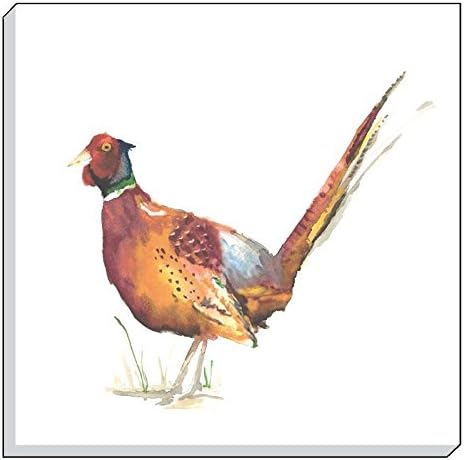 HAND PAINTED ANIMALS HIGHLAND PHEASANT EVANS LICHFIELD CANVAS WALL ART PICTURE 40 x 40CM