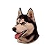 Produktbild World Stickers Schwandt Heimtierbedarf 12117 Aufkleber 4 Stück ca. 80 x 80 mm für Warnschild Siberian Husky