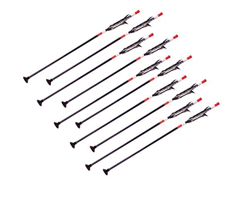 Preisvergleich Produktbild Holzspielerei Holzpfeile (10 Indianerpfeile Saugnapf 40 cm)