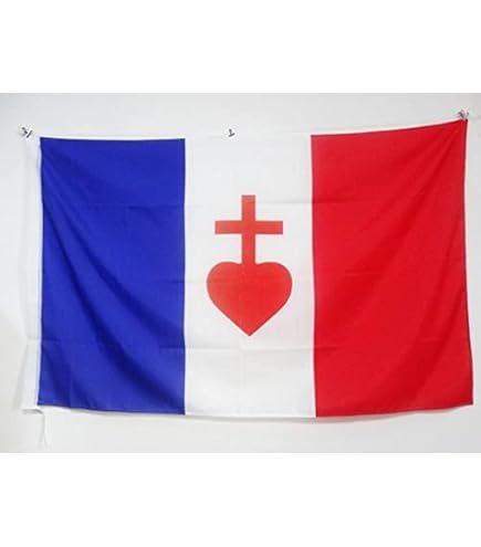 Drapeau Espoir Et Salut De La France - 90x90 Cm, Polyester 80g - Fourreau Pour Hampe, Intérieur/extérieur