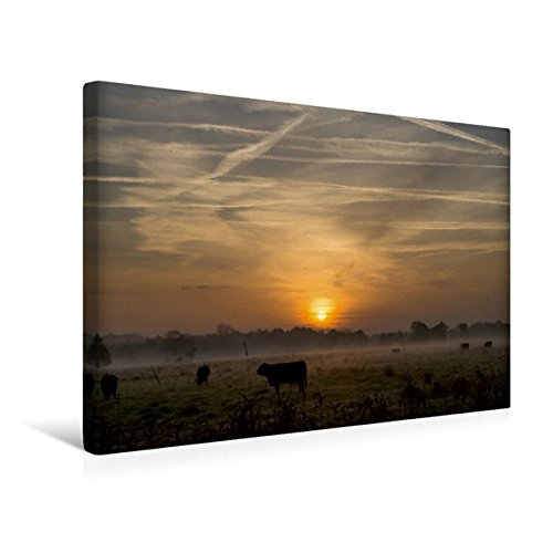 Premium Textil-Leinwand 45 cm x 30 cm quer, Morgennebel in Schleswig-Holstein | Wandbild, Bild auf Keilrahmen, Fertigbild auf echter Leinwand, Leinwanddruck (CALVENDO Natur)