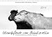 Islandpferde von Brimilsvellir (Wandkalender 2014 DIN A4 quer): Islandpferde von Brimilsvellir (Monatskalender, 14 Seiten) by 