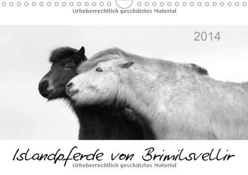 Islandpferde von Brimilsvellir (Wandkalender 2014 DIN A4 quer): Islandpferde von Brimilsvellir (Monatskalender, 14 Seiten)