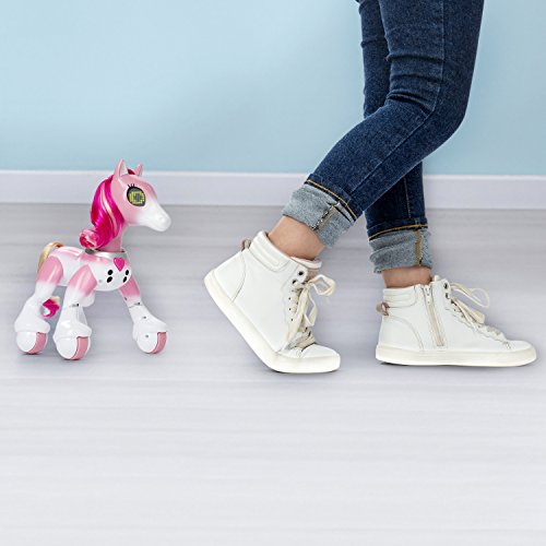 41DLGbLYhVL Zoomer - 6036997 - Pony