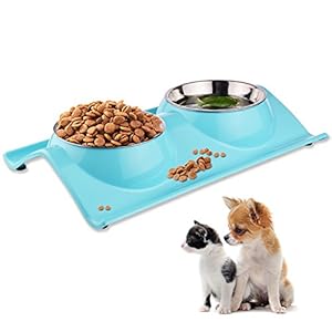 ShareWe Cuencos Doble para Perro Gato Animal Mascotas Cuencos Alimento Agua Platos de Acero Inoxidable con Diseño Antideslizante y Antiderrames (Azul)