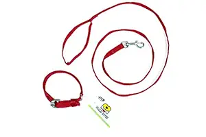 Tame Love Red Collar Belts and Leash Set 0.50 Inch for Small Puppy Dog