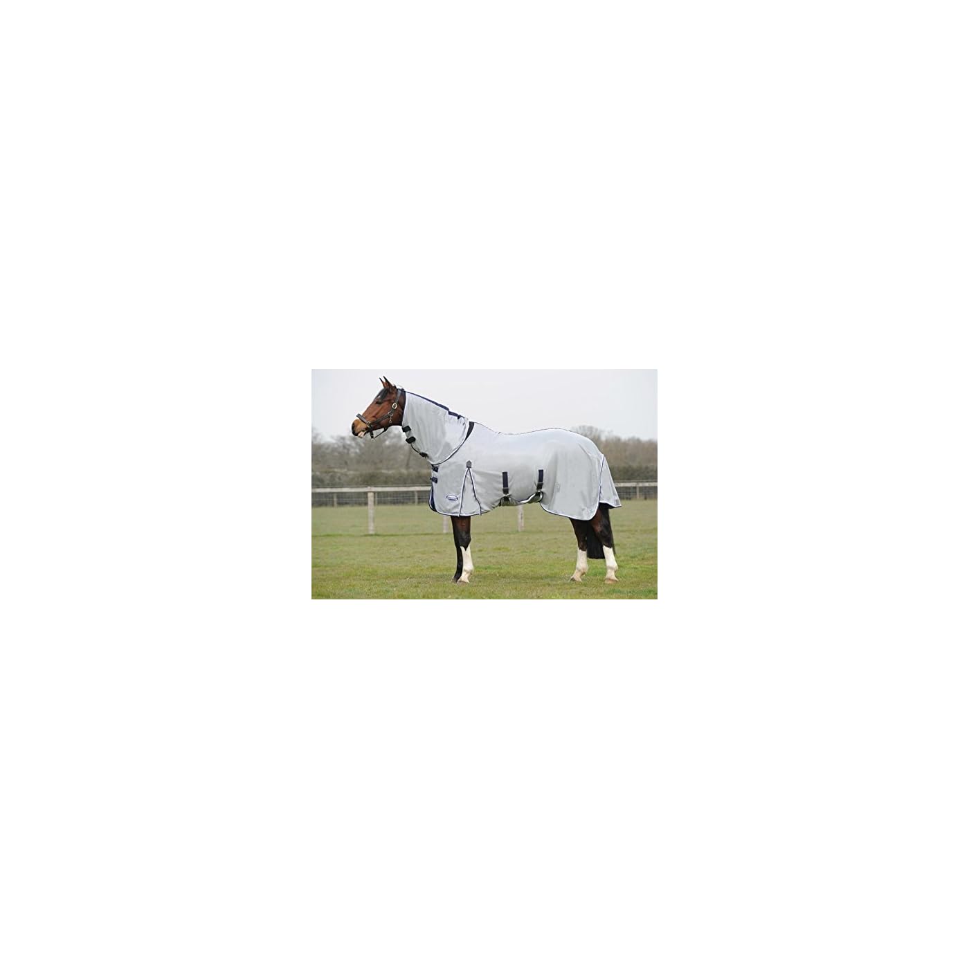 Horse ‘n’ Pony