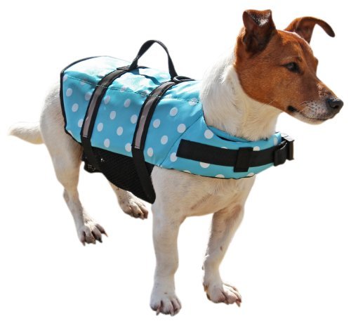 GoSea-Dog-Lifejacket-X-Small-Blue
