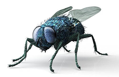 Insektenfalle Wespenfalle Fruchtfliegenfalle Obstfliegenfalle Fliegenfalle 5er Set Flaschenaufsatz - 5