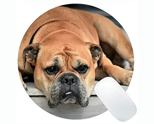 Preisvergleich Produktbild Runde Mauspads, Hundetier-Kontinentalbulldoggen-Haust...