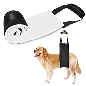 Arnés de elevación para perro, aprobado por veterinarios 2019, arnés de apoyo ajustable para la cadera para la artritis canina antigua K9