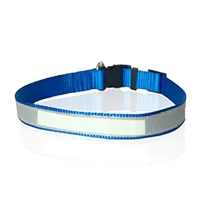 Ruse Pet Glow in The Dark and Reflective Nylon Adjustable Collar for Puppy, Small, Big Dogs.