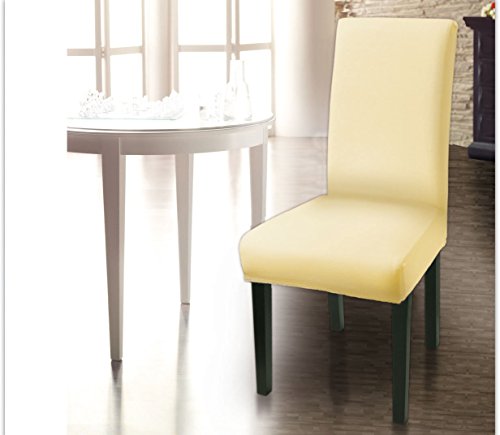 Scheffler Home Lacoste Chaircovers 2 Pieces Stretch Chair Cover Bi Elastic Modern Slipcover Decor Lycra Fabric Protective Cover With Elastic Band Universal Nosefitting By Spandex Elastic Span Cover With Lotus Effect Stainprotection Search