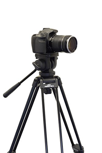 Davis & Sanford PROVISTA6510 - Trípode para cámaras de Fotos y videocámaras (152 cm), Color Negro