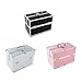 Extra Large Space Storage Beauty Box Make up Nail Jewelry Cosmetic Vanity Case (Silver)