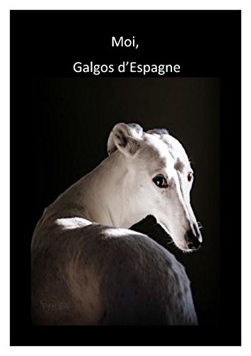 Download Moi, Galgos d'Espagne
