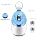 OKACHI GLIYA Nano Facial Steamer Ionic Hot Mist Face Steamer Professional Open Pores Skin Treatment for Blackhead & Acne Portable Inhaler Spa Relieve Sinus Cleansing Pores - Ice Blue