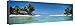 Produktbild Palm Trees on the Beach, Tikehau, French Polynesia Bedruckte aufgespannte Leinwand von Panoramic Images - 20x61 cm