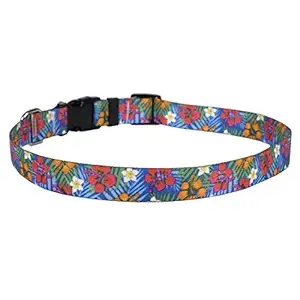 Yellow Dog Design Hibiscus Paradise Dog Collar 3/4