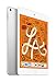 Produktbild iPad mini