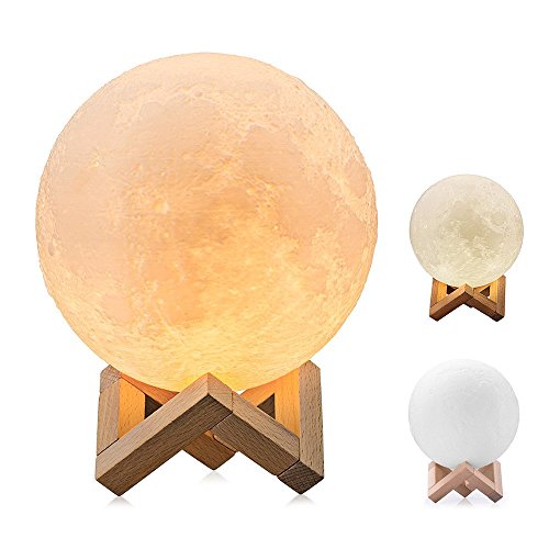 Quace Plastic 2 Brightness Changeable 3D Printing LED Touch Sensor Switch USB Rechargeable Moon Lamp, 3000K 6000K, 12 cm, Multicolour