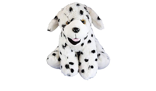 astronaut capsule pet backpack