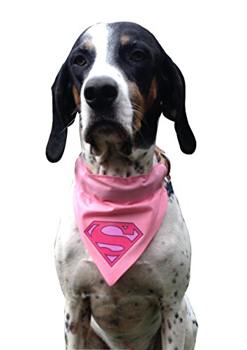 Supergirl-dog-bandana-One-size-fits-all-just-slips-over-collar