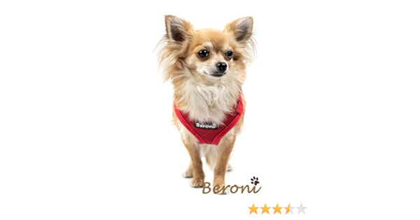 chihuahua harness amazon