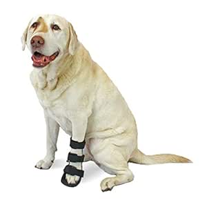 dog ate ace bandage