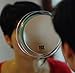 Fantasia Mirror with 2 Suction Cups Number 41030